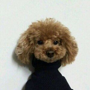 Meet your Posher, Janet